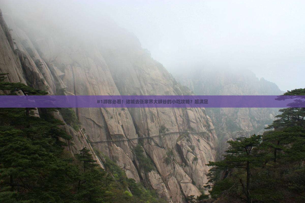 诸城去张家界大峡谷旅游小吃