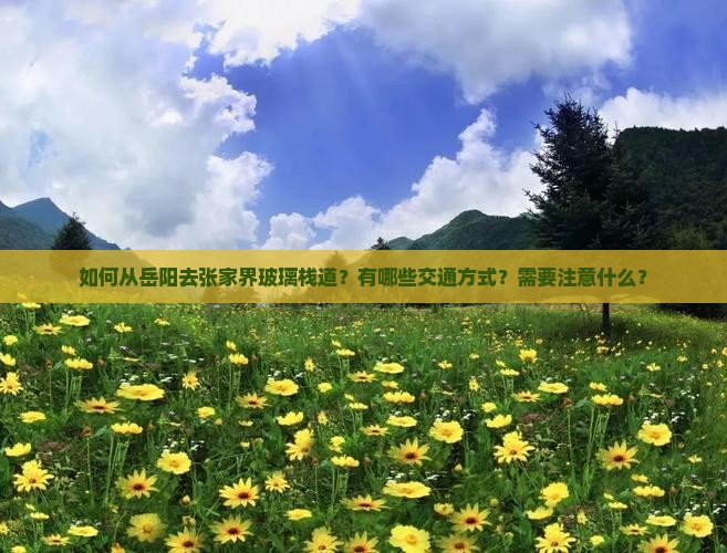 岳阳去张家界玻璃栈道攻略