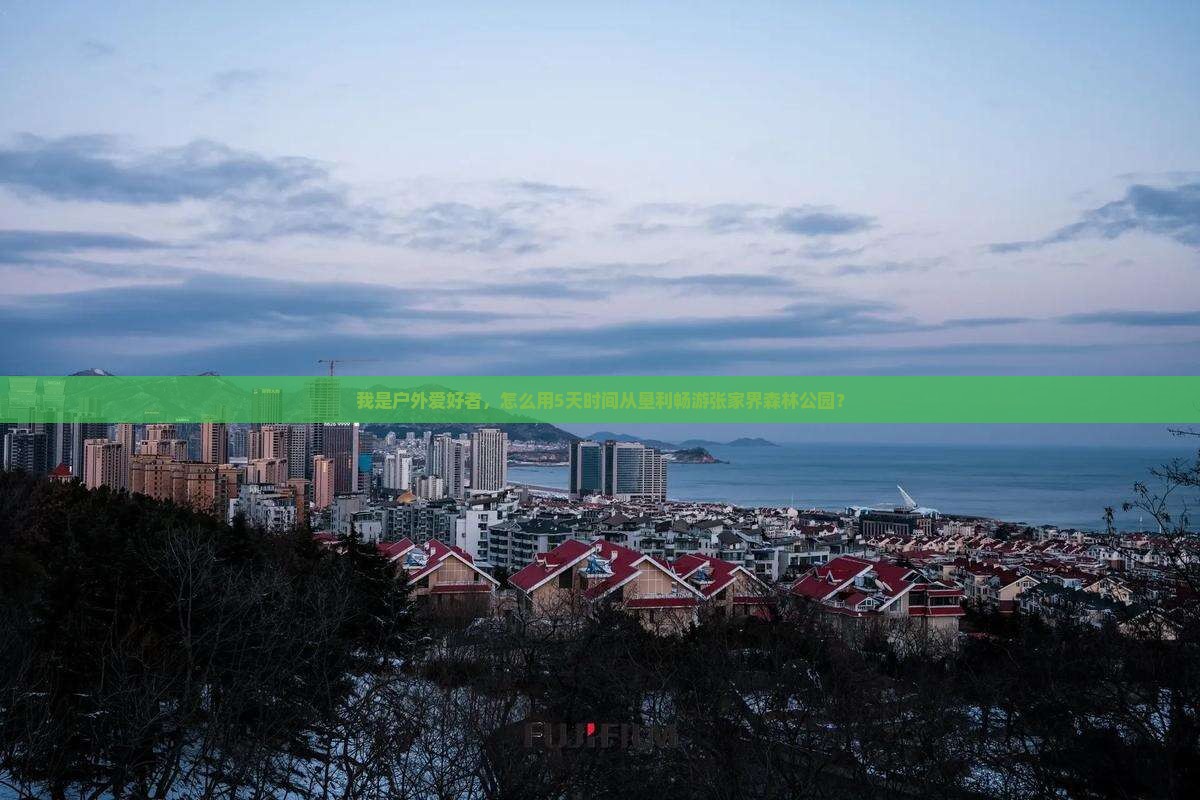 垦利去张家界森林公园旅游
