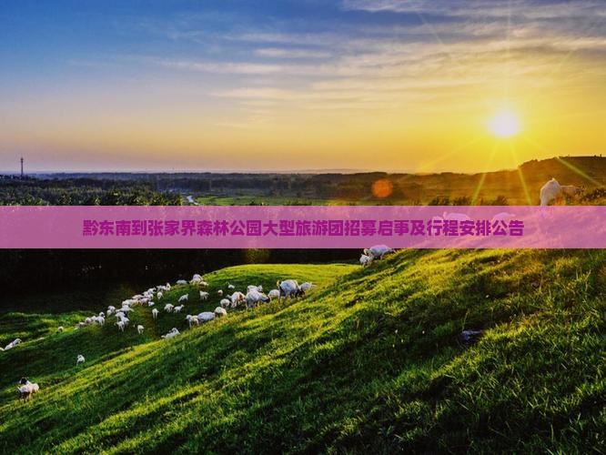 黔东南到张家界森林公园大型旅游团