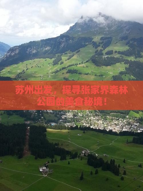 苏州到张家界森林公园旅游小吃