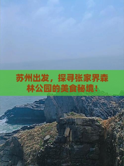 苏州到张家界森林公园旅游小吃