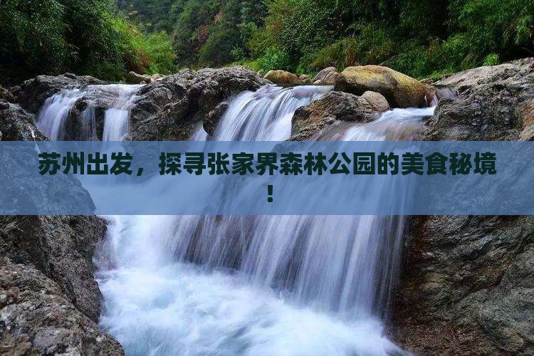 苏州到张家界森林公园旅游小吃