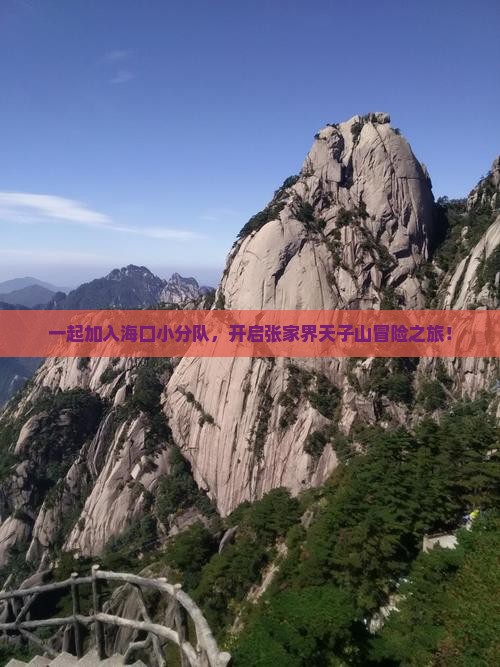 海口去张家界天子山团体旅游