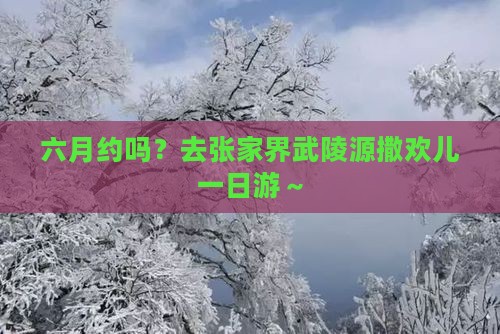 六月去张家界武陵源一日