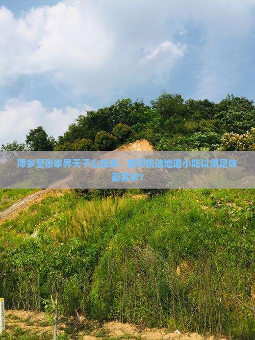萍乡到张家界天子山旅游小吃
