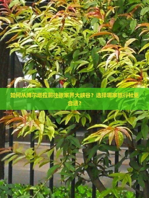 博尔塔拉去张家界大峡谷旅行社 博尔塔拉去张家界大峡谷旅行社