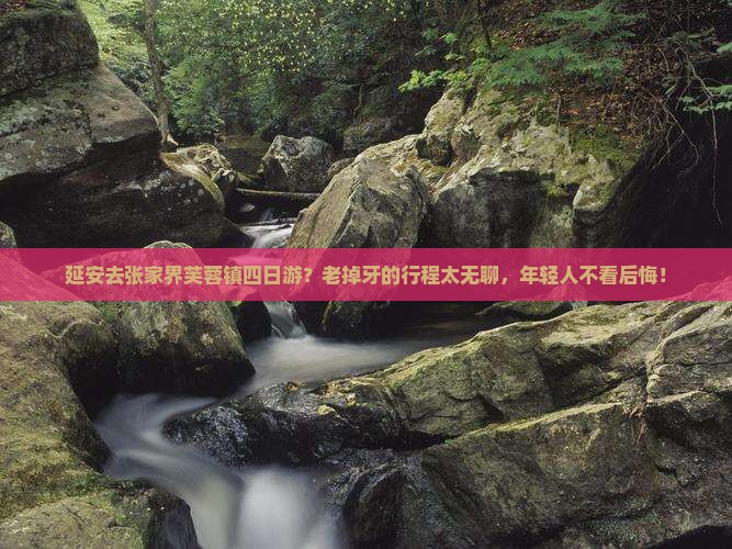 延安去张家界芙蓉镇四日游
