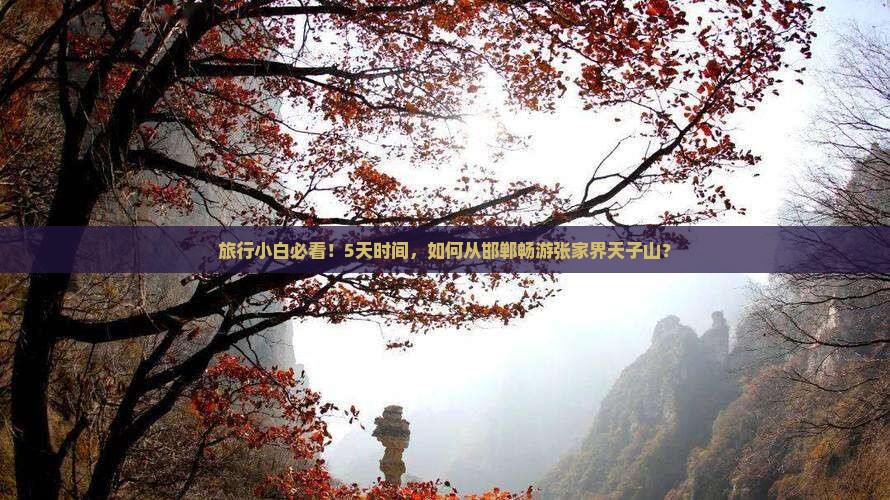 邯郸去张家界天子山五日游