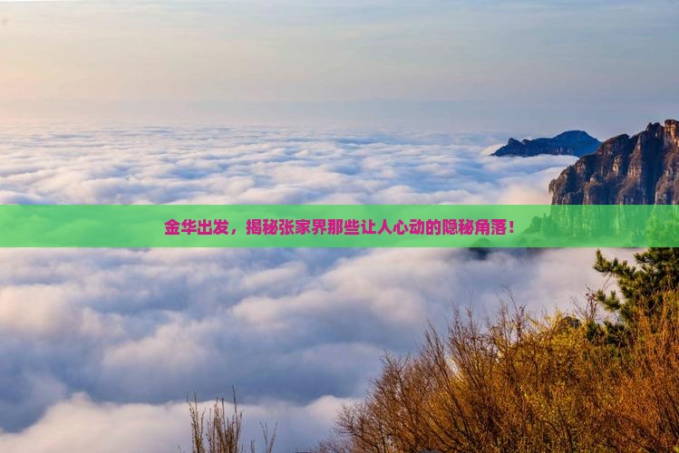 金华去张家界必去地