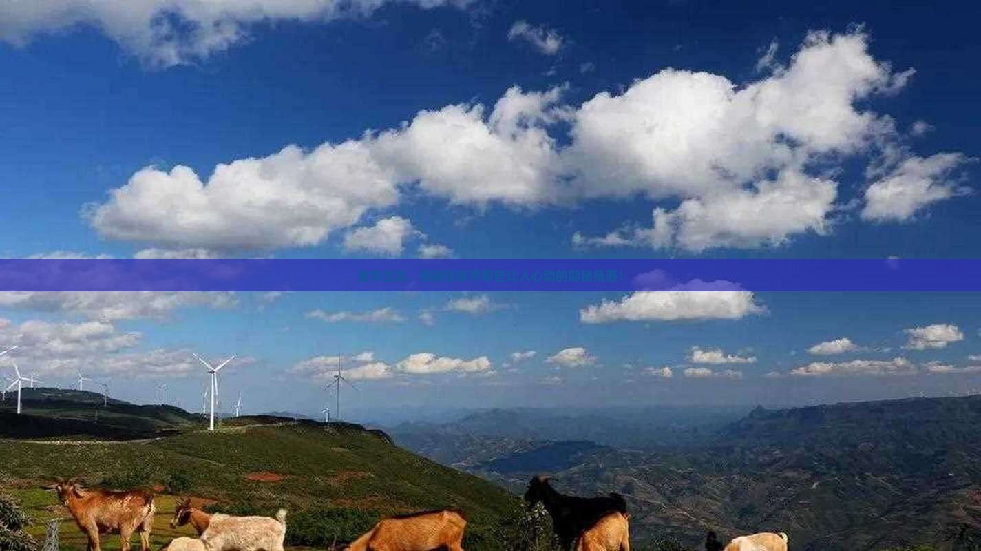 金华去张家界必去地