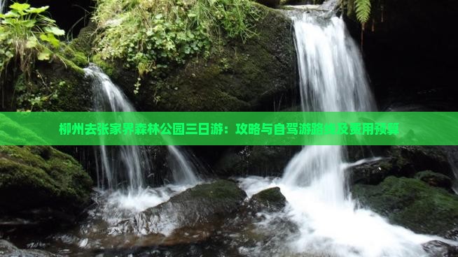 柳州去张家界森林公园三日游