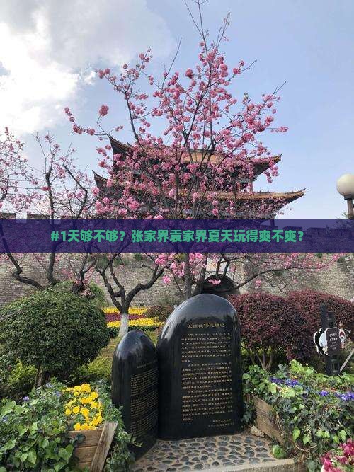 夏天去张家界袁家界一日
