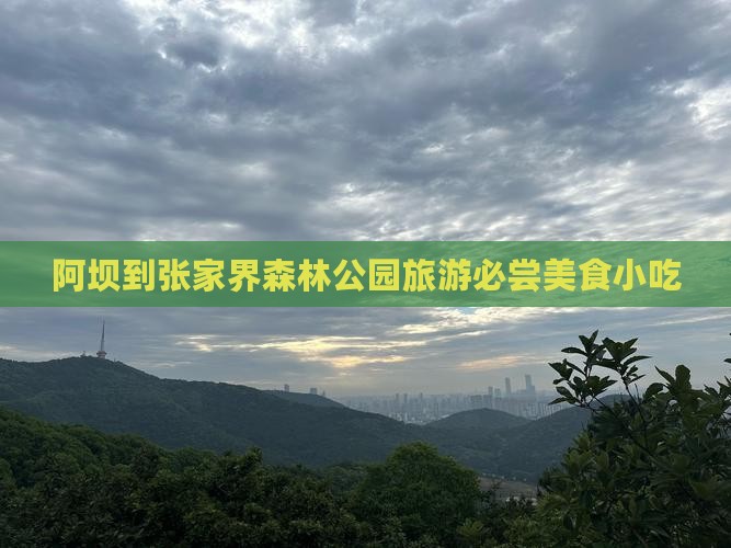 阿坝到张家界森林公园旅游小吃