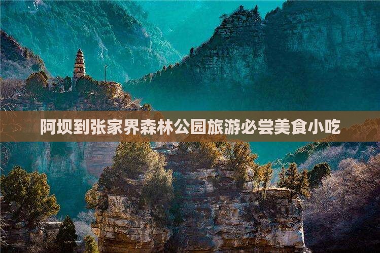阿坝到张家界森林公园旅游小吃