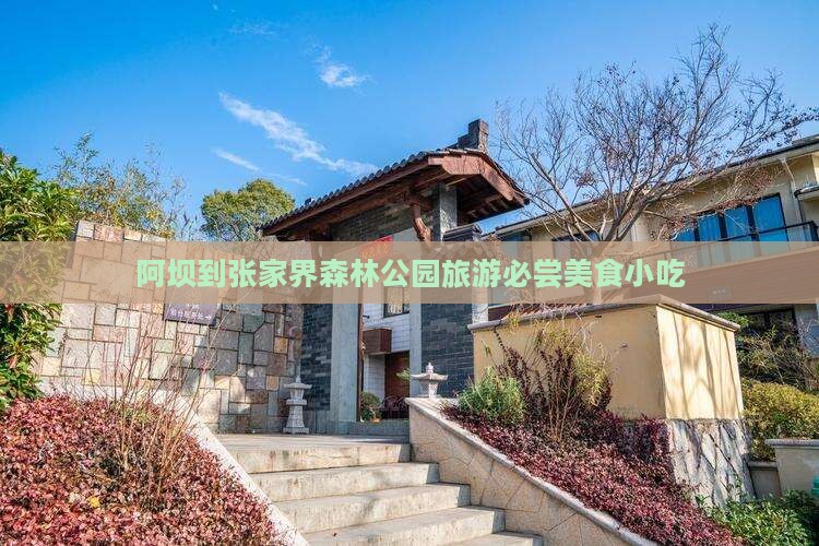 阿坝到张家界森林公园旅游小吃