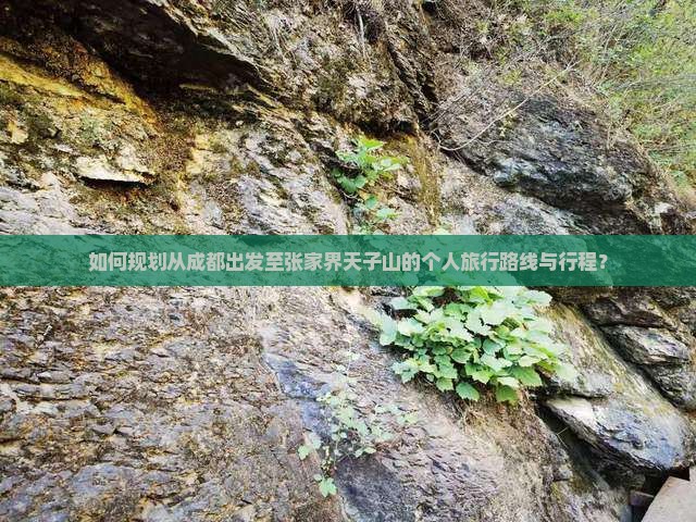 成都去张家界天子山个人游
