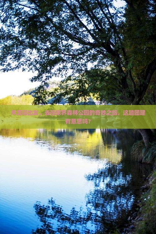 龙岩去张家界森林公园团体旅游