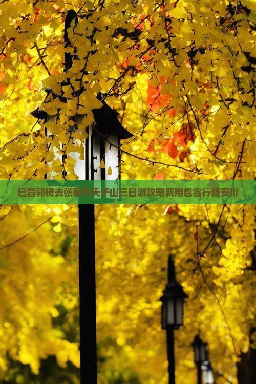 巴音郭楞去张家界天子山三日游