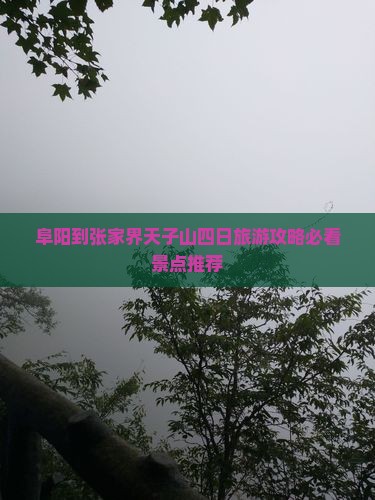 阜阳到张家界天子山四日游