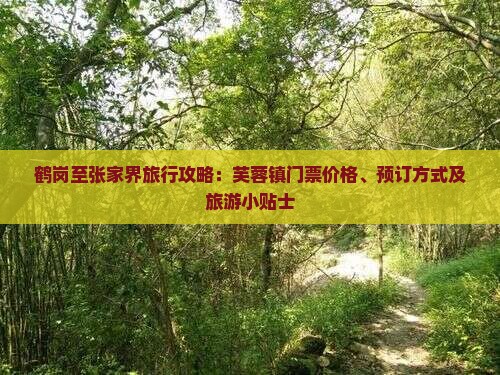 鹤岗到张家界芙蓉镇门票