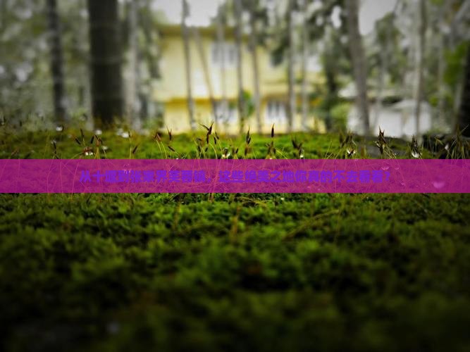 十堰到张家界芙蓉镇必去地