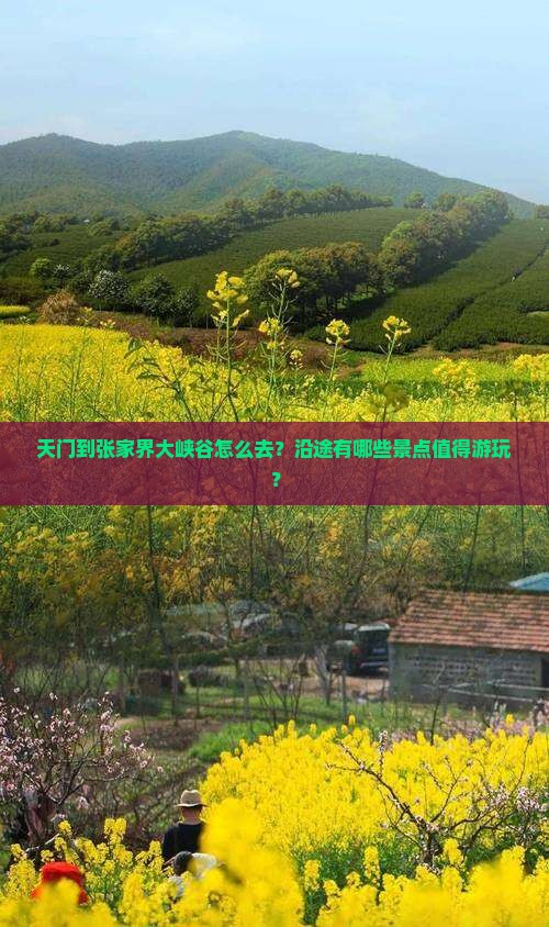 天门到张家界大峡谷旅游 天门到张家界大峡谷旅游