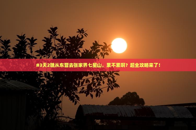 东营到张家界七星山七日游