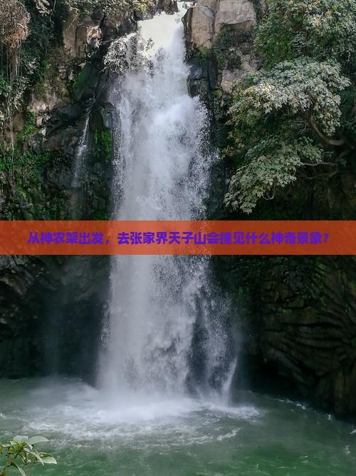神农架去张家界天子山景点