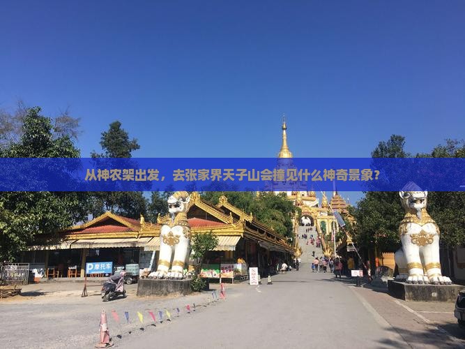 神农架去张家界天子山景点