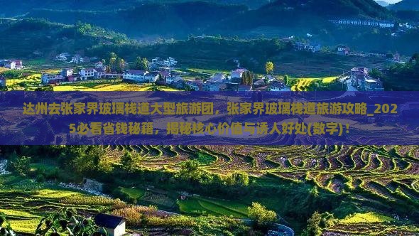 达州去张家界玻璃栈道大型旅游团