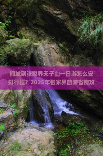 桐城到张家界天子山一日