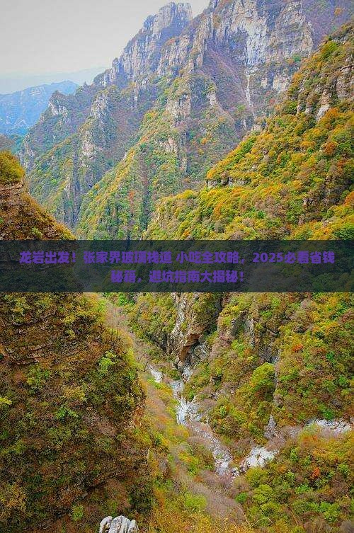 龙岩到张家界玻璃栈道旅游小吃