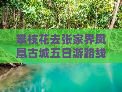 攀枝花去张家界凤凰古城五日游