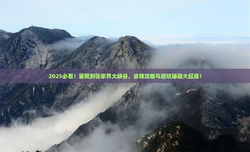 襄樊到张家界大峡谷旅行社