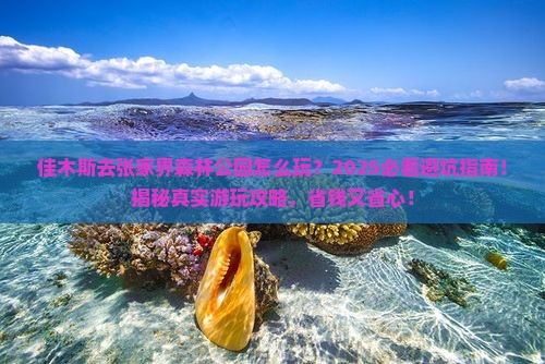 佳木斯去张家界森林公园哪里玩