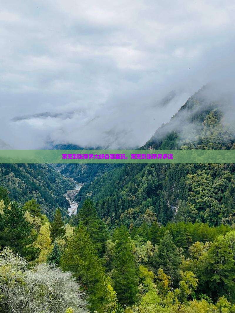 莱芜到张家界大峡谷哪里玩