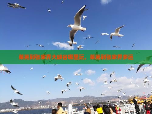 莱芜到张家界大峡谷哪里玩