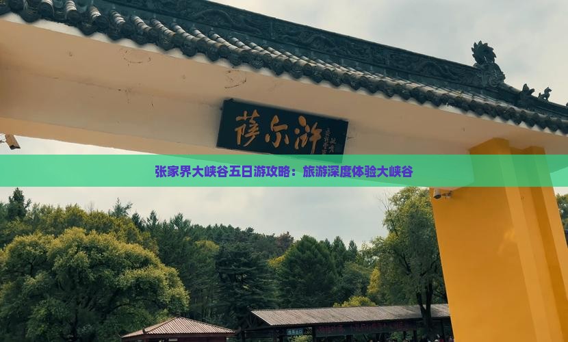 端午节去张家界大峡谷五日游
