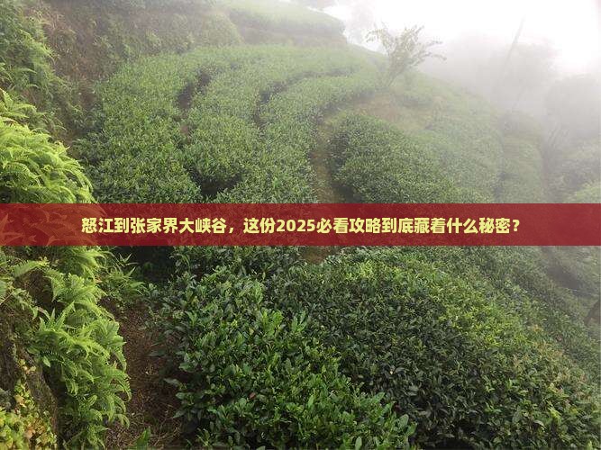怒江到张家界大峡谷团体旅游