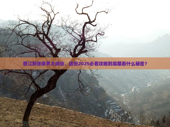 怒江到张家界大峡谷团体旅游