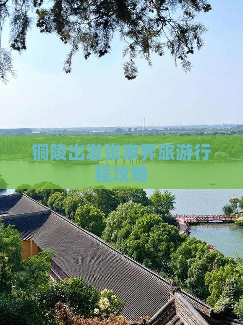 铜陵去张家界旅游