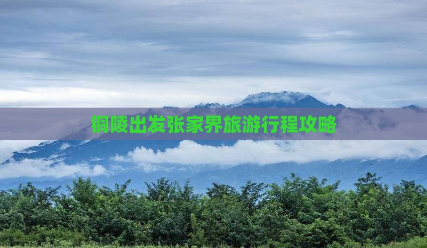 铜陵去张家界旅游