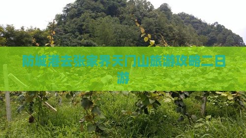 防城港去张家界天门山二日游