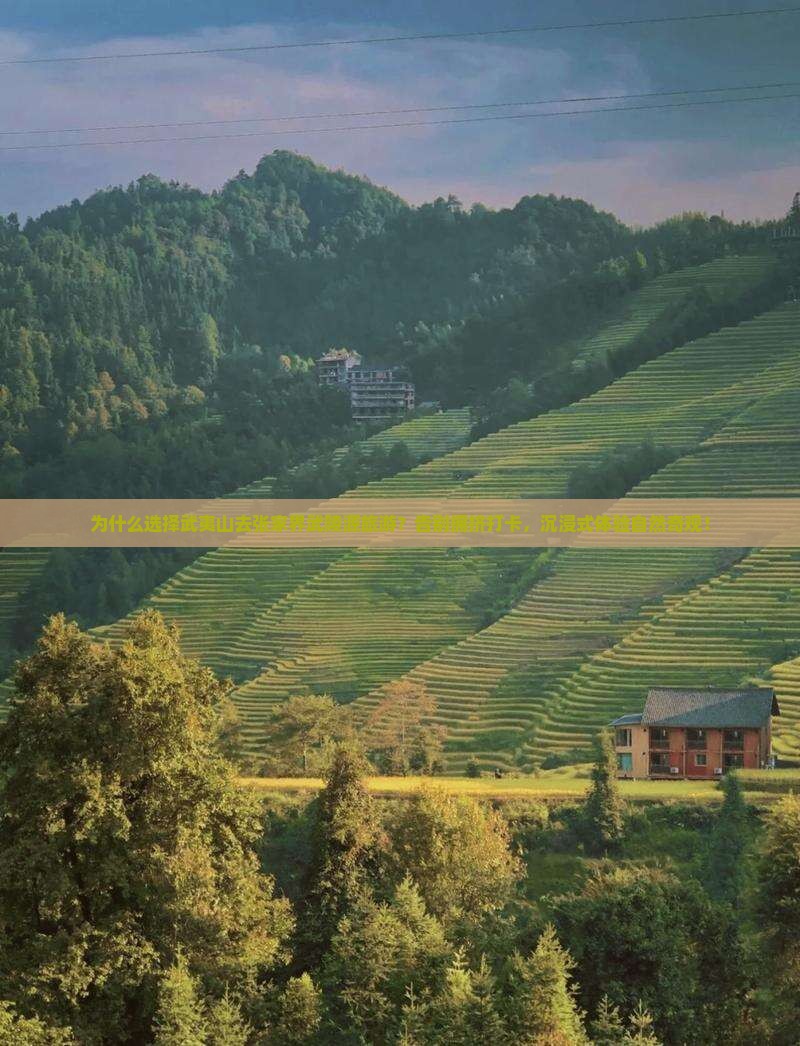 武夷山去张家界武陵源旅游