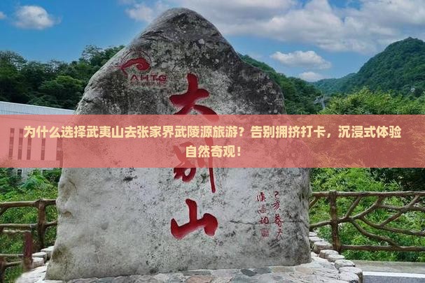 武夷山去张家界武陵源旅游