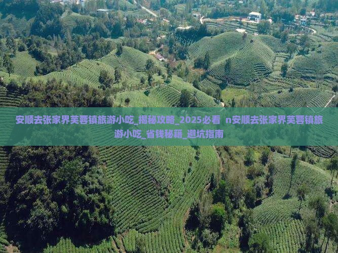 安顺去张家界芙蓉镇旅游小吃 安顺去张家界芙蓉镇旅游小吃