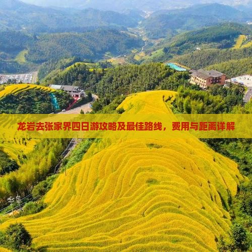 龙岩去张家界四日游