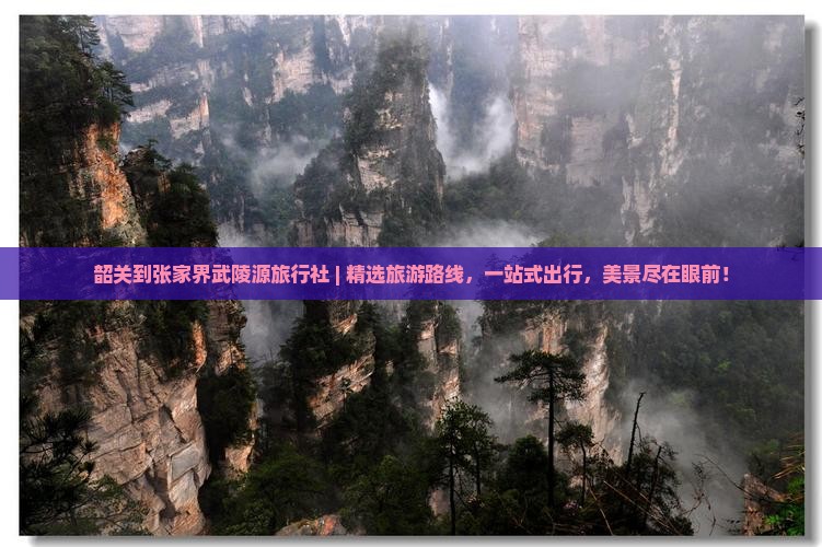 韶关到张家界武陵源旅行社