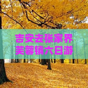 吉安去张家界芙蓉镇六日游